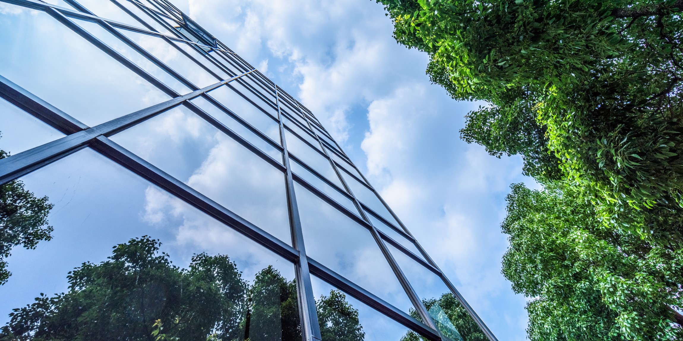 Zorientowanie na przyszłość